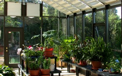 Design Tips for Sunny Living