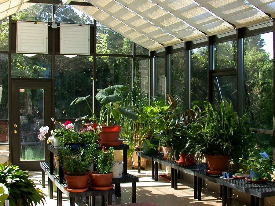 Design Tips for Sunny Living