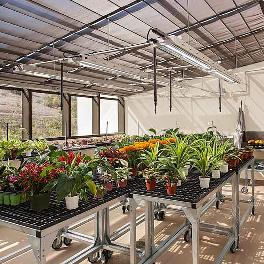 Home Greenhouse